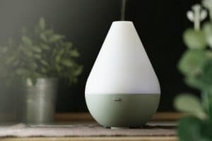 Mejor humidificador