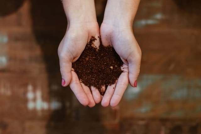 compost ecológico